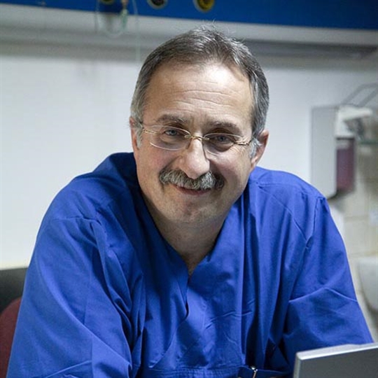 SARUHAN CEKIRGE
